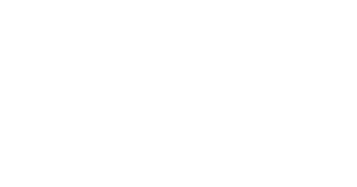 The Hollow Eyes Shop